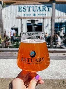 Fresh Whipped- Fruited IPA from Estuary Beans and Barley